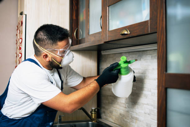 Best Best Pest Control Companies  in Phillipsburg, GA