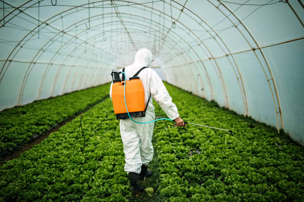 Best Mosquito Control Services  in Phillipsburg, GA