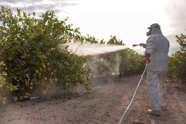 Phillipsburg, GA Pest Control Company