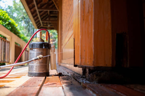 Best Pest Prevention Services  in Phillipsburg, GA