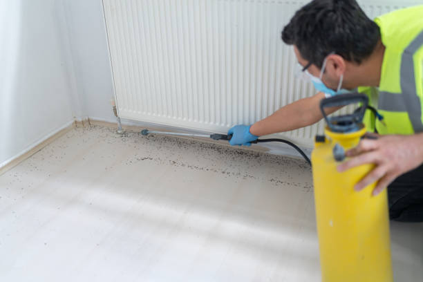 Best Bed Bug Extermination  in Phillipsburg, GA